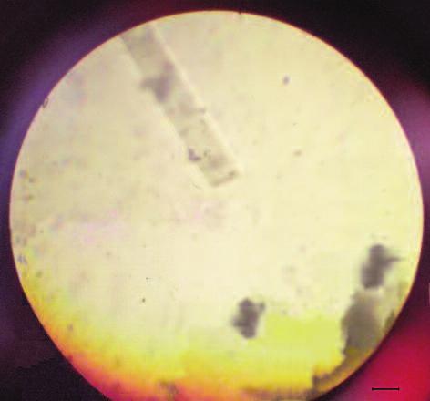 Medycyna Środowiskowa - Environmental Medicine 2016, Vol. 19, No. 3 55 Ryc. 7.