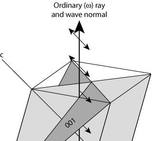 Promień zwyczajny W jednoosiowych kryształach kierunek drgań promienia normalnego jest zawsze
