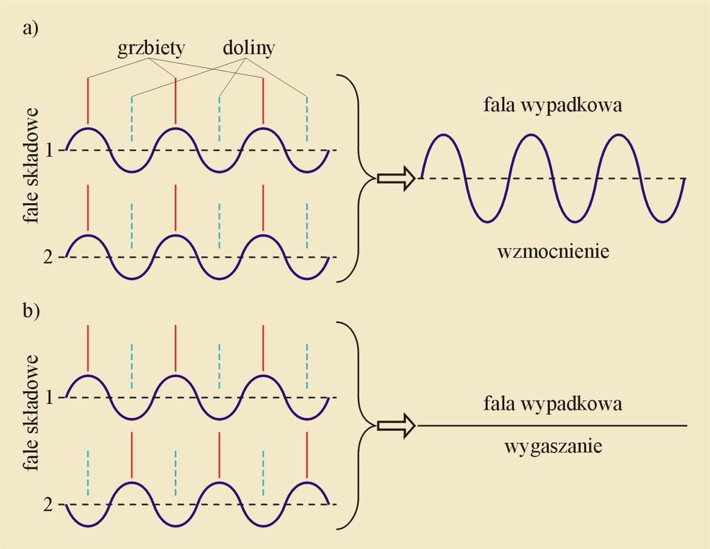 Drgania i fale mechaniczne 161 a) Fale spotykają się w fazach zgodnych w punkcie następuje wzmocnienie fali wypadkowej, b) Fale spotykają się w fazach przeciwnych w punkcie następuje wygaszenie fali