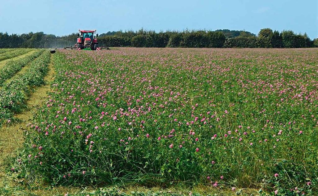 COUNTRY Użytki Polowe Skład w % Stanowisko Życica wielokwiatowa Życica westerwoldzka Życica mieszańcowa Życica trwała Tymotka łąkowa Kostrzewa łąkowa Festulolium Koniczyna