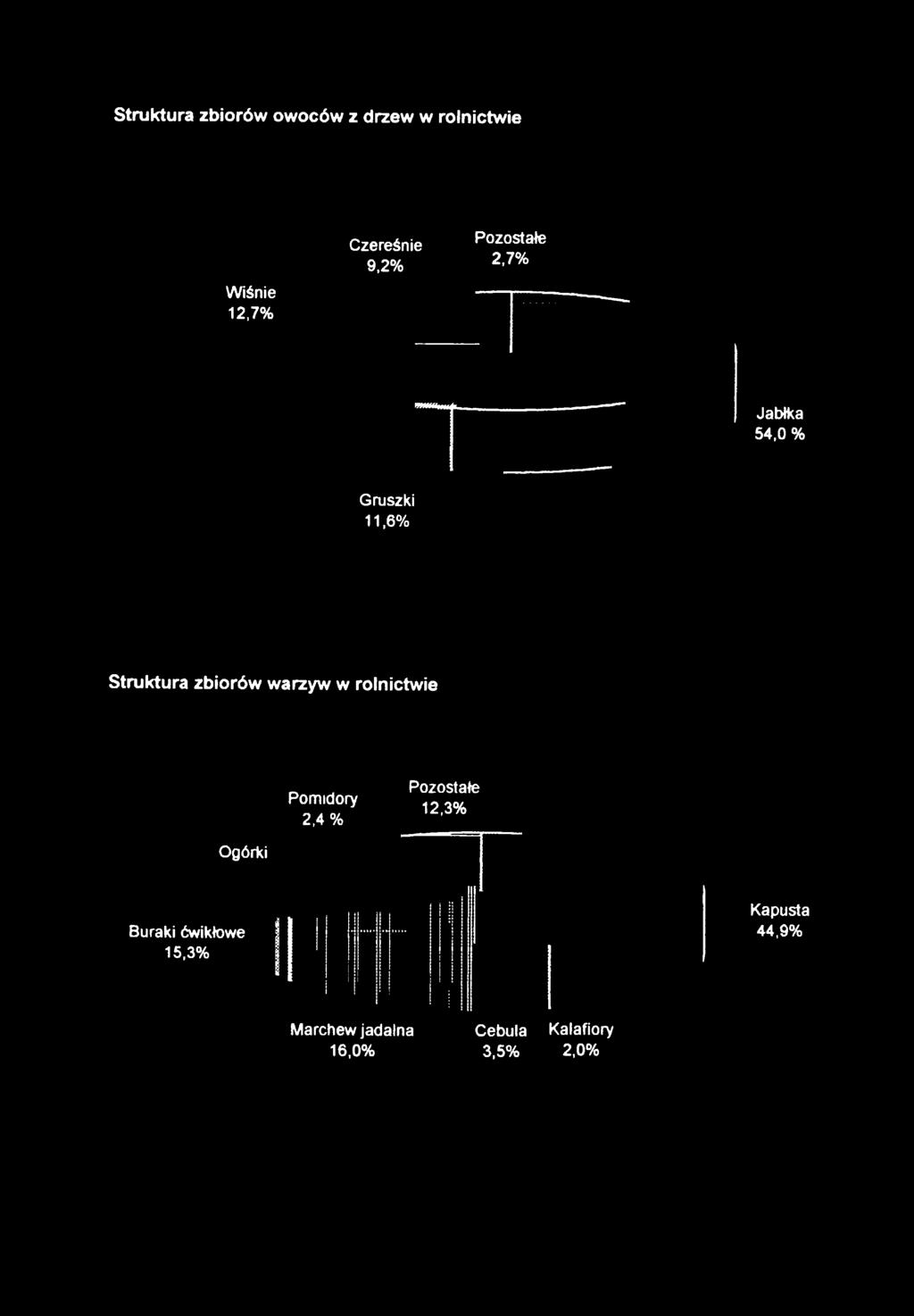 10, 0/ 2,4 % 12'3% Buraki ćwikłowe 15,3%