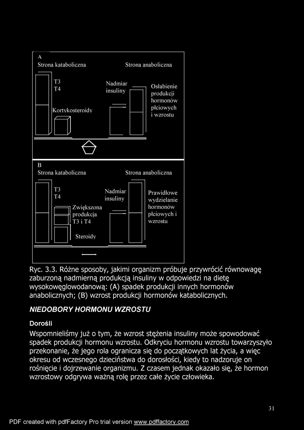 3. Różne sposoby, jakimi organizm próbuje przywrócić równowagę zaburzoną nadmierną produkcją insuliny w odpowiedzi na dietę wysokowęglowodanową: (A) spadek produkcji