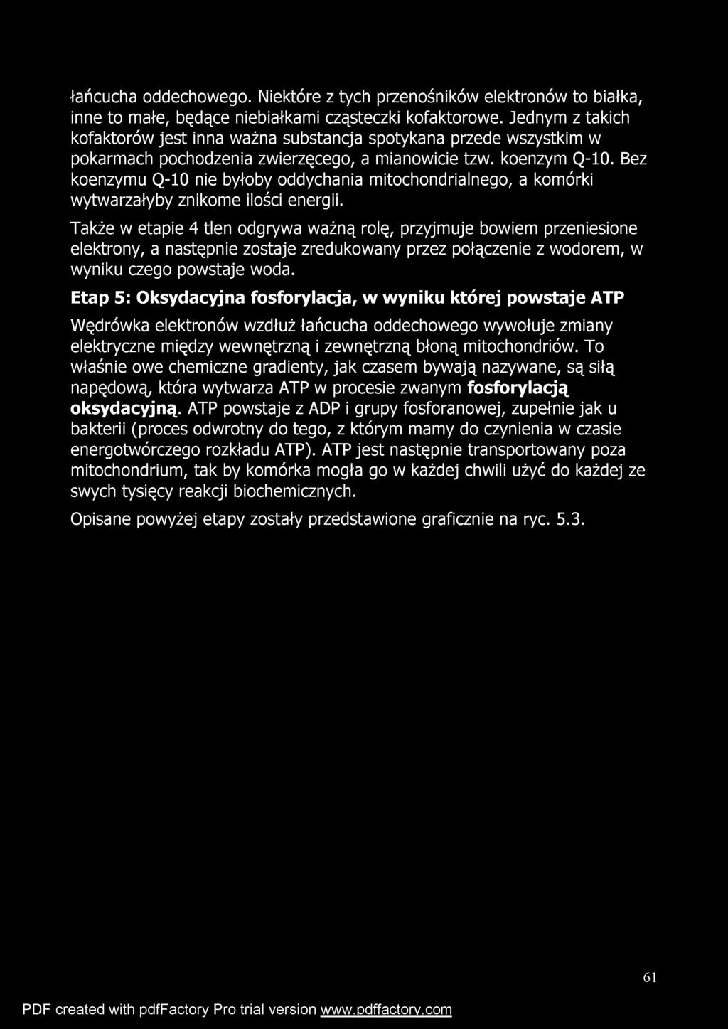 Bez koenzymu Q-10 nie byłoby oddychania mitochondrialnego, a komórki wytwarzałyby znikome ilości energii.