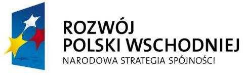 1 Rzeszowska Agencja Rozwoju Regionalnego S.A. w Rzeszowie 35-959 Rzeszów, ul.