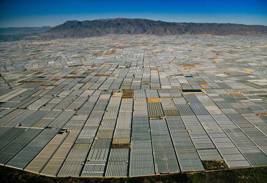 Europa Zachodnia, Japonia i