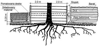 Przykład ekologicznego zabezpieczenia drzewa z bryłą korzeniową na placu składowym (wg [10]) (Oprócz