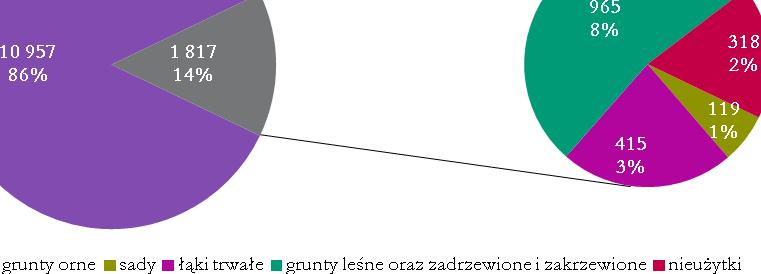 37 Strategia Rozwoju Miasta i Gminy Kowalewo Pomorskie na lata 2015-2020 Wykres 13.. Struktura użytków rolnych w Gminie Kowalewo Pomorskie w 2014 r.