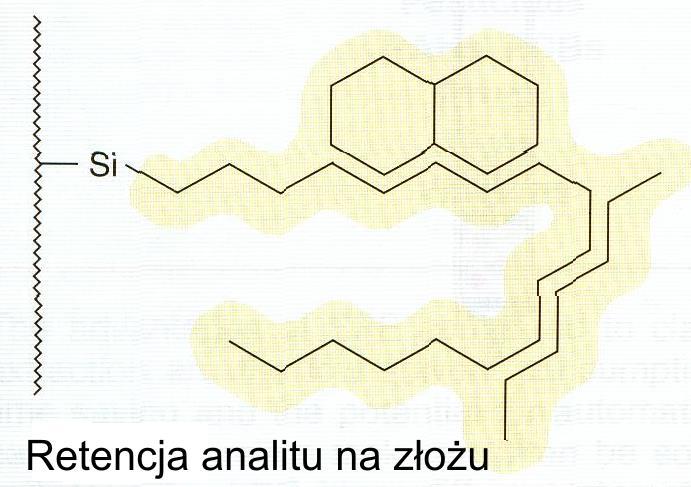 związanych jest podziałowy, w rzeczywistości przebiega w dużym stopniu przy udziale procesów adsorpcyjnych.