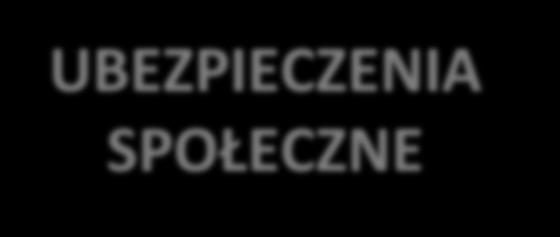 DZIEĆMI POMOC DLA BEZROBOTNYCH Metody zabezpieczenia