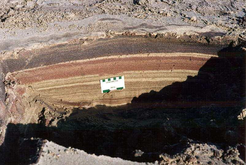 skałotwórczych Minerały ciężkie ρ> gęstości kwarcu (2,65 g/cm 3 ) Rutyl (4,3), cyrkon (4,7),