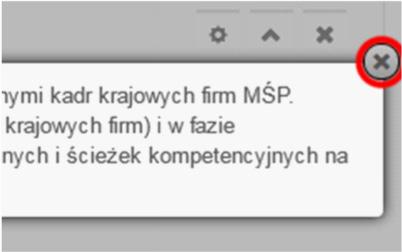 ESKILLS W celu rezygnacji MANAGER z wysłania zgłaszanej uwagi możemy dokonać tego na każdym etapie jej tworzenia wciskając przycisk X znajdujący się w prawym górnym rogu okna.