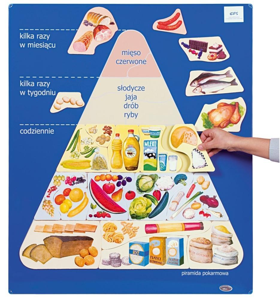 PIRAMIDA POKARMOWA Model klasycznej piramidy pokarmowej.