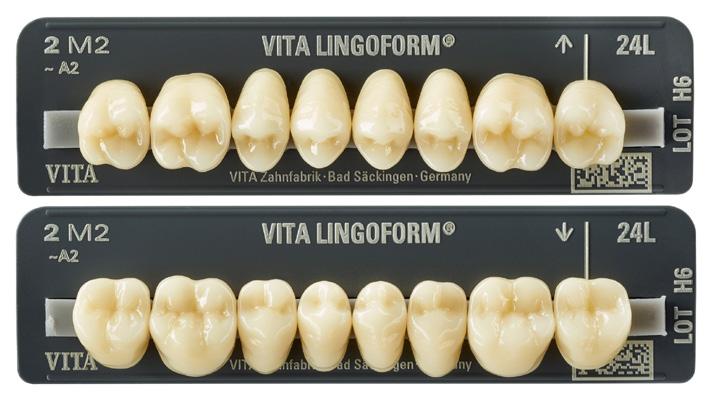 Są łatwe w ustawianiu. Stanowią świetne uzupełnienie zębów przednich Physiosens i VITAPAN Excell.