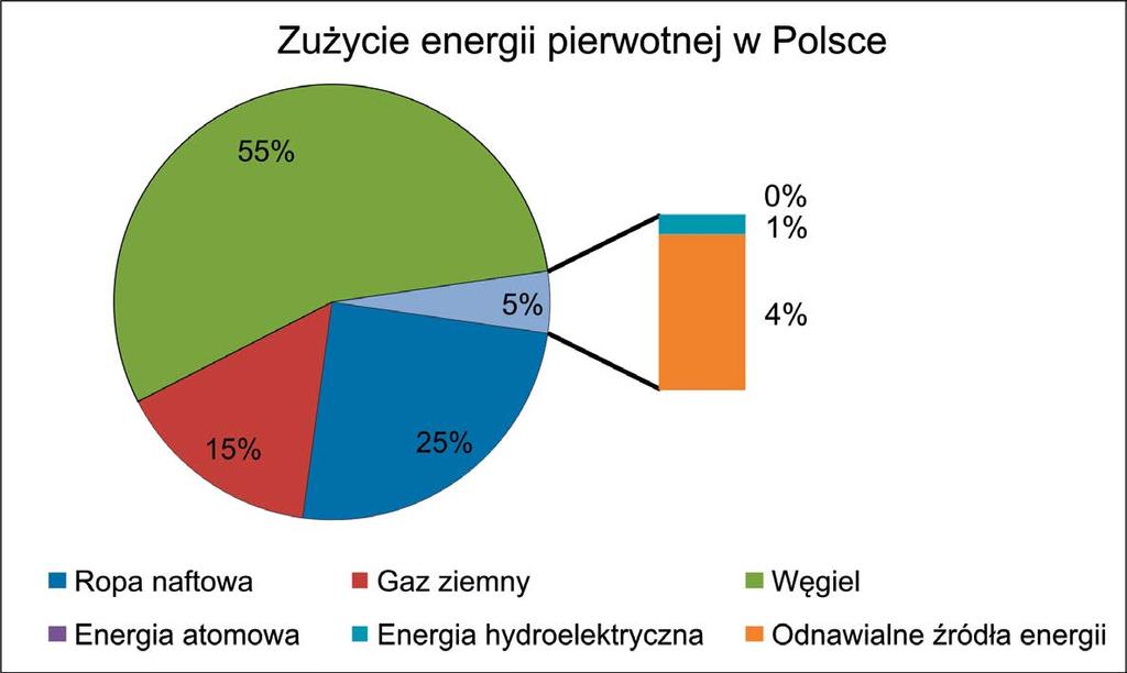 Wprowadzenie Stopień rozwoju gospodarczego kraju ma duży wpływ na jego zapotrzebowanie na energię oraz strukturę jej źródeł.