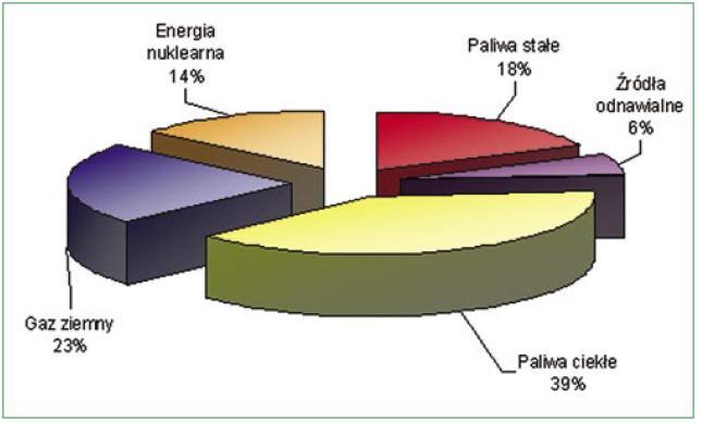 Około 1/5 produkowanej energii (19%) na świecie pochodzi ze źródeł odnawialnych. W krajach Unii Europejskiej najważniejszym nośnikiem energii są paliwa płynne (ok.