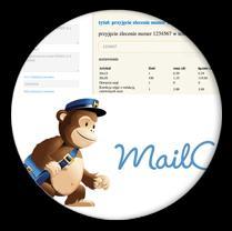 System mailowy System posiada prosty edytor emaili wraz z podglądem, który pozwala na zarządzanie treścią każdej wiadomości wysłanej do klienta.