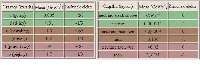 Cegiełki elementarne (kwarki i leptony) Wszystkie powyższe cz astki maj a liczbȩ kwantow a spinu 1/2 (należ a do tzw. fermionów).