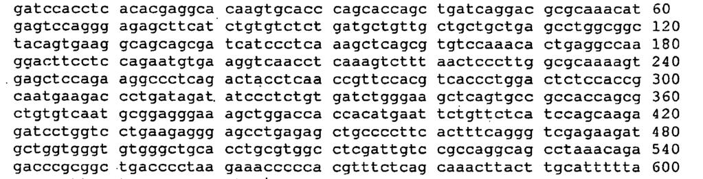 <2> 17 <211> 1172 <212> DNA <213>