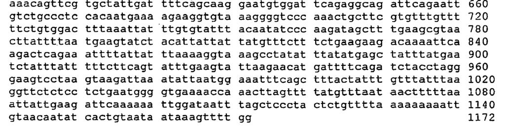 18 <212> PRT <213> Mus musculus