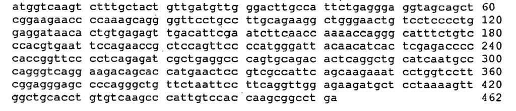 DNA <213> Mus musculus <400> 19 20