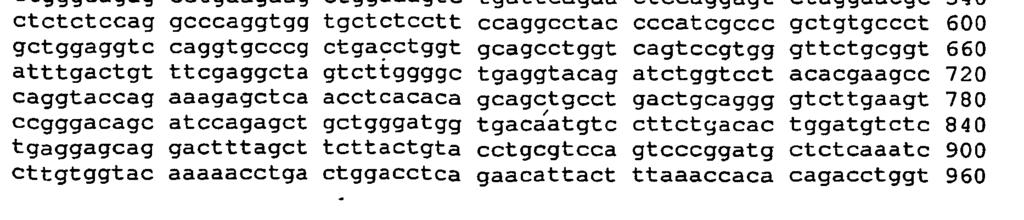 DNA <213> Mus