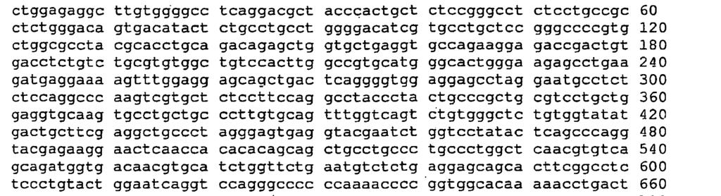 1 <212> DNA <213> Sztuczna sekwencja <223> starter oligonukleotydowy <400> 40