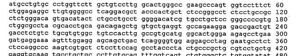 <400> 87 <2> 88 <211> 291 <212> PRT <213> homo sapiens <400> 88 1 <2> 89 <211> 169 <212> DNA