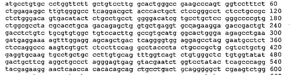 <212> DNA <213> homo