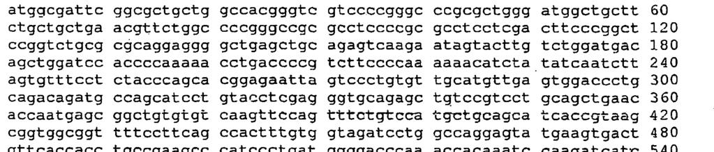 <212> DNA <213> Sztuczna sekwencja