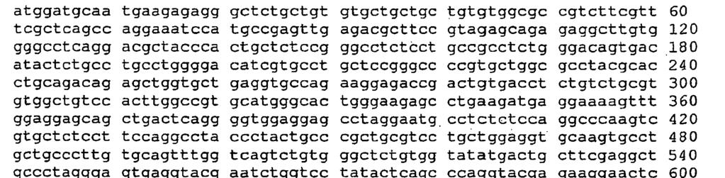 <2> 11 <211> 2094 <212> DNA <213>