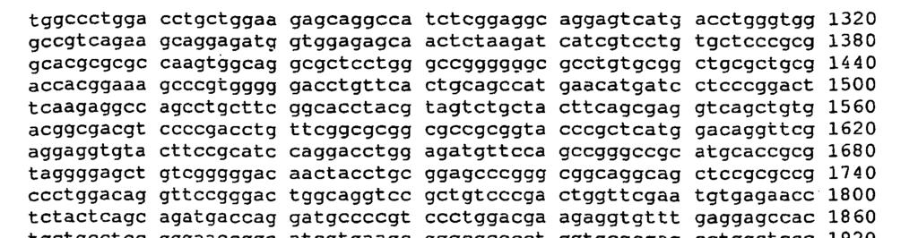 <2> 168 <211> 78 <212> DNA <213> Sztuczna sekwencja <223> Peptyd