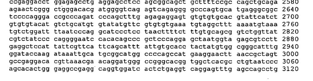 169 2 <2> 170 <211> 7 <212> DNA <213> Sztuczna sekwencja <223>