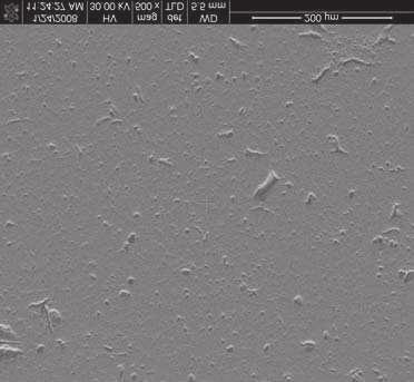 Powierzchnia warstwy ALS-7,5 (7,5% skrobii),obraz SEM detekcja