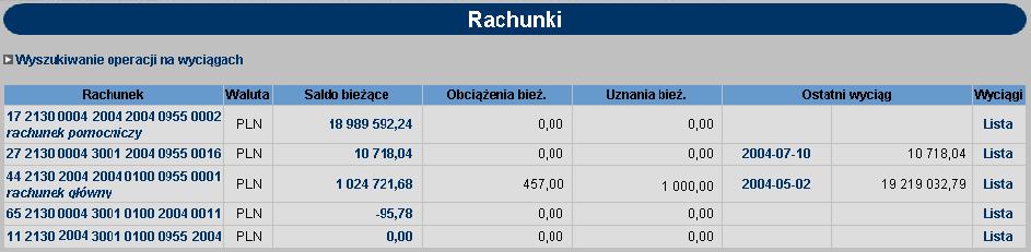 ROZDZIAŁ 4 RACHUNKI RACHUNKI Rachunki to domyślne okno, jakie zostanie uruchomione po zarejestrowaniu się użytkownika w