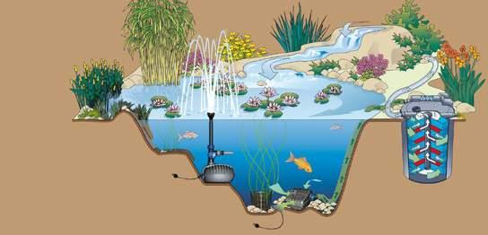1 Strefa wody głębokiej Tutaj umieszczane są pompy filtracyjno-strumieniowe lub też ewentualnie spusty denne.