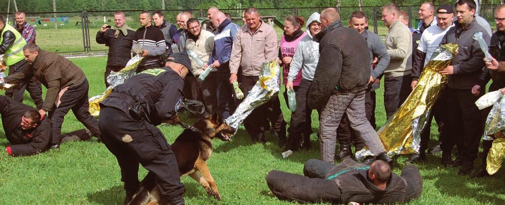 są warsztaty doskonalące sprawność użytkową psów służbowych.