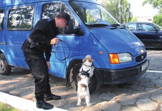 Kolejne lata przyniosły rozszerzenie zakresu rywalizacji konkursowej.