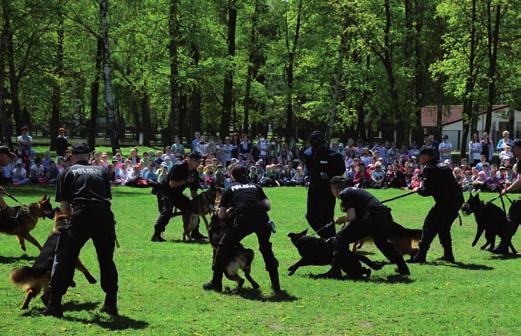 60-lecie zakładu kynologii policyjnej współpraca zakładu z innymi podmiotami Policji, na zasadach honorowego uczestnictwa, biorą udział przewodnicy psów ze Straży Granicznej, Żandarmerii Wojskowej