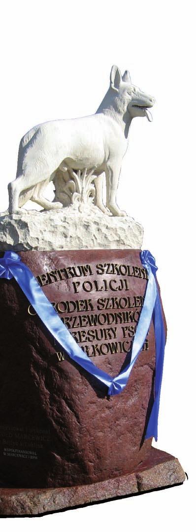 stan etatowy Zakładu Kynologii Policyjnej w porównaniu z 2009 r. zmniejszył się z 33 etatów policyjnych do 29. W 2010 r. odbyło się 8 kursów specjalistycznych, które ukończyło 58 przewodników z psami.