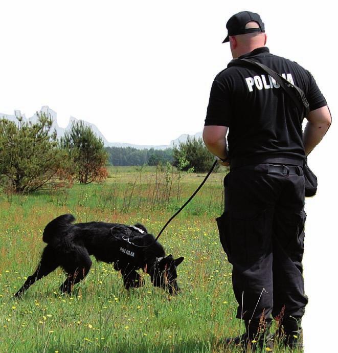 Widok poligonu ZKP w Sułkowicach oraz stawu stan obecny 2016 r. Fot. archiwum ZKP realizowanych jest 616 godzin lekcyjnych; zajęcia związane z praktyczną tresurą psa zajmują 539 godzin, tj.