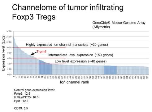 Stosując w/w strategię zidentyfikowany został jeden gen, którego silna ekspresja charakteryzowała komórki Tregs Foxp3+ infiltrujące guz nowotworowy.