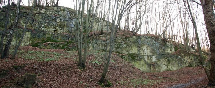 ochrona geologiczna brak, maksymalna wysokość ścian skalnych 10 m. Rys. 8.