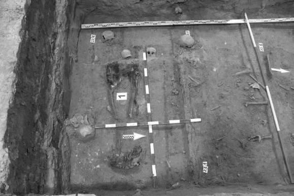 Odkrycia archeologiczne w kryptach i na cmentarzu pobrygidkowskiego Poziom pochówków z otwartego cmentarza wewnątrz kościoła (fot. R. Niedźwiadek). wych oraz wykonaniu analiz specjalistycznych.