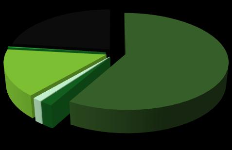 wszystkim Europa Systems oraz Ivopol) EBITDA (mln PLN) Podział EBITDA 23,6 +66% 39,1 19,2% 7,0% 2,3% 0,3% 71,2% 2015 15,6% 0,2%