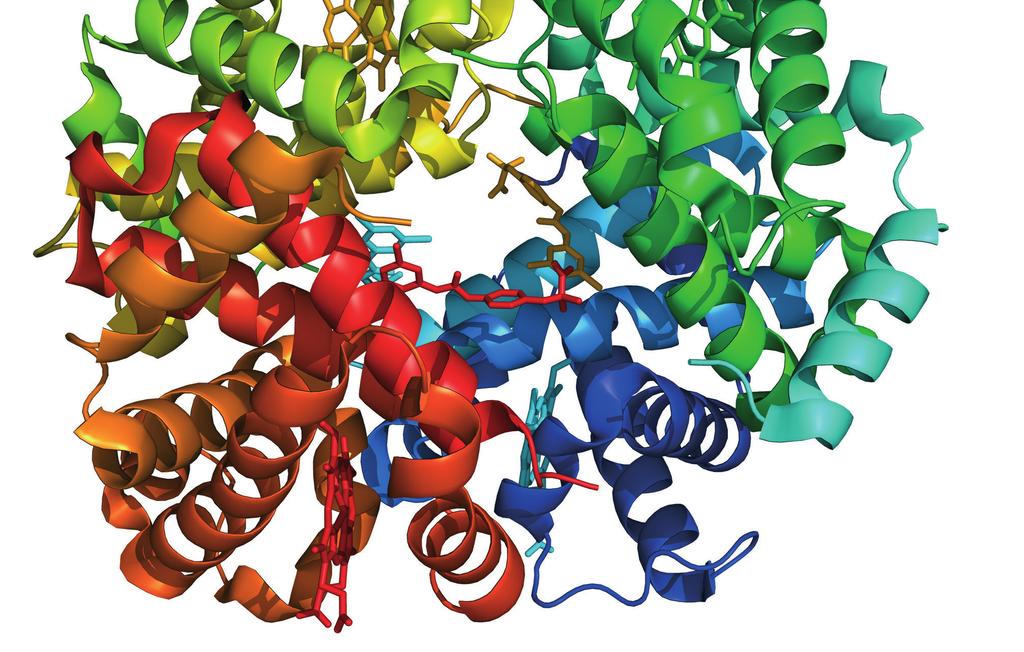 Dawna Diabetologia Praktyczna 2014, tom 3, Suplement A ISSN 2084 4441 Zalecenia kliniczne