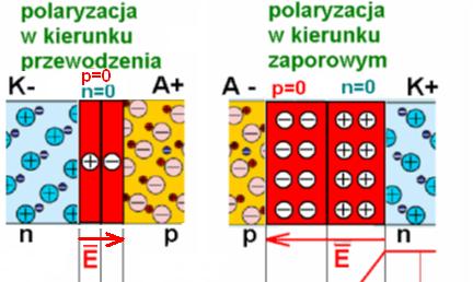 Polaryzacja złącz