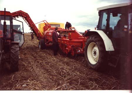 4 Ziemniak Polski 2008 nr 3 maszyny zespołowo lub kółek maszynowych, które gwarantują pełne sezonowe wykorzystanie. Rys. 5.