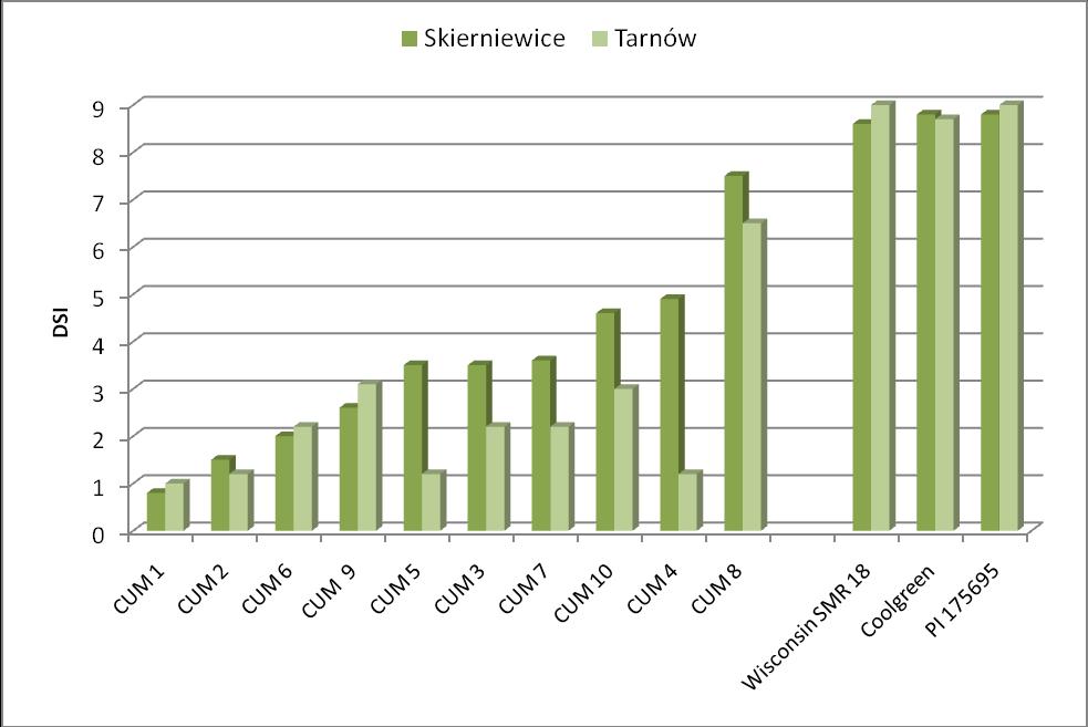 P. cubensis oraz odmiana Wisconsin SMR 18 podatna na P. s. pv lachrymans i na P. cubensis. Obserwacji podatności roślin na mączniaka rzekomego dokonano według 10.