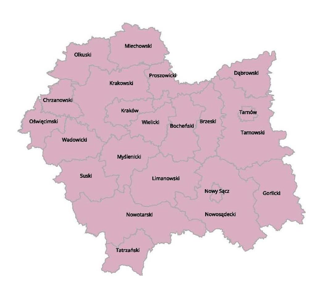 Dyżury