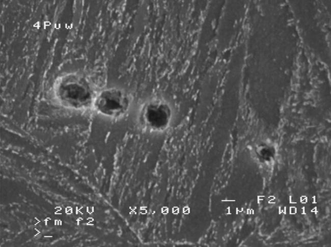 W części łopatki niewykazującej deformacji ujawniono obecność defektów mikrostruktury rys. 6. a) b) Rys.6. Obraz z mikroskopu skaningowego mikrostruktury łopatki 43P: a) x4000, b) x8000.
